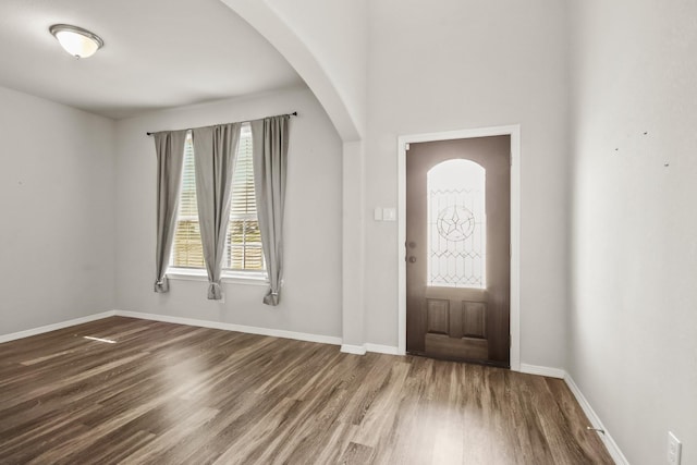 foyer with wood-type flooring