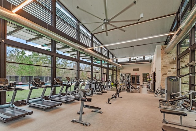 gym featuring floor to ceiling windows, a high ceiling, carpet floors, and ceiling fan