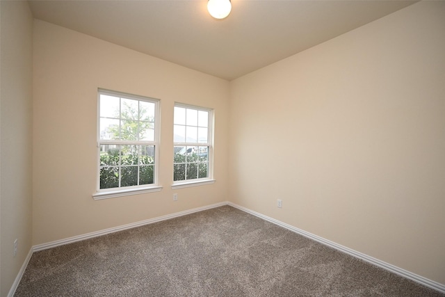 unfurnished room featuring carpet floors