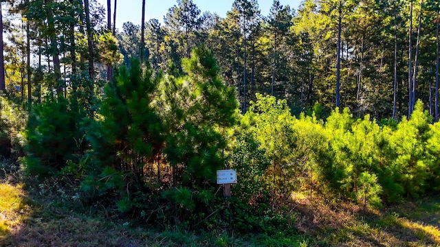 Listing photo 2 for 018 Red Hawk Rd, Huntsville TX 77340