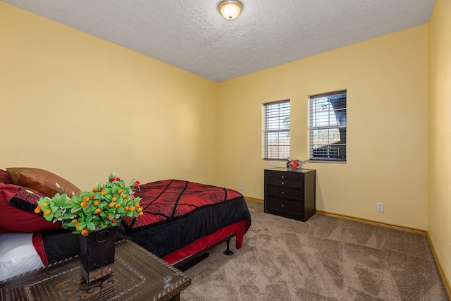 bedroom with carpet flooring and a textured ceiling