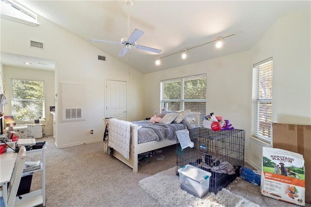 carpeted bedroom with multiple windows, ceiling fan, high vaulted ceiling, and track lighting