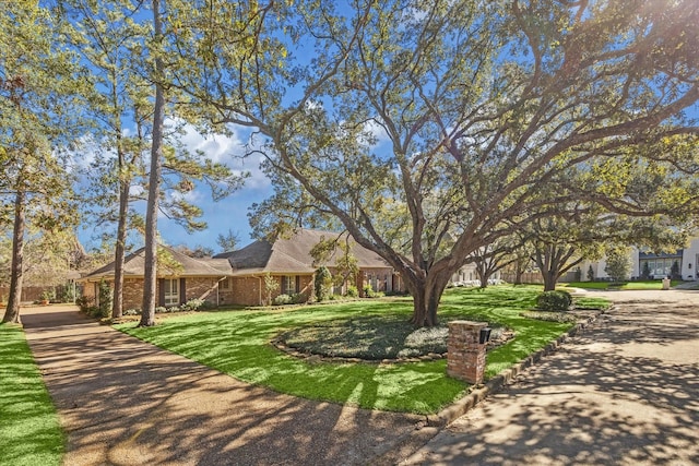 view of front of home featuring a front lawn