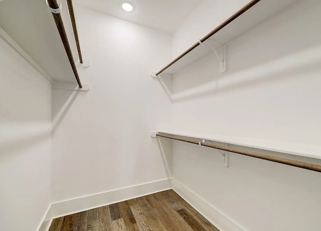 spacious closet with dark wood-type flooring