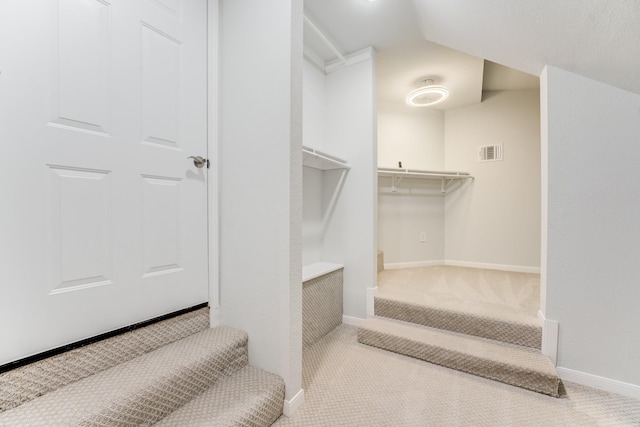 walk in closet featuring carpet flooring