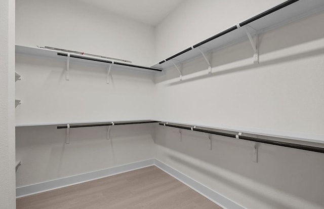 walk in closet with light wood-type flooring