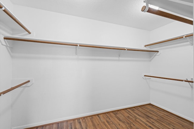 walk in closet featuring wood-type flooring