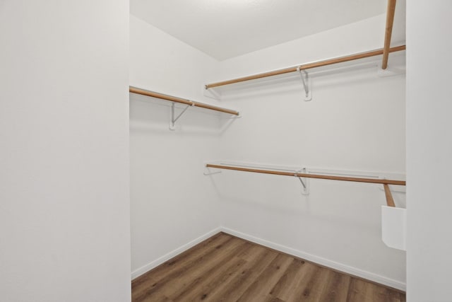 walk in closet featuring dark hardwood / wood-style flooring