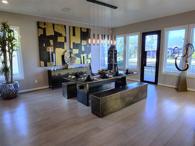 kitchen featuring rail lighting, pendant lighting, a center island, and hardwood / wood-style floors