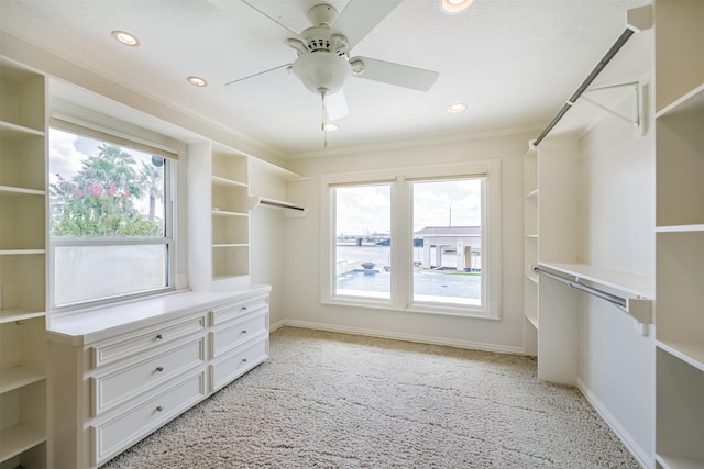 walk in closet featuring ceiling fan and light carpet