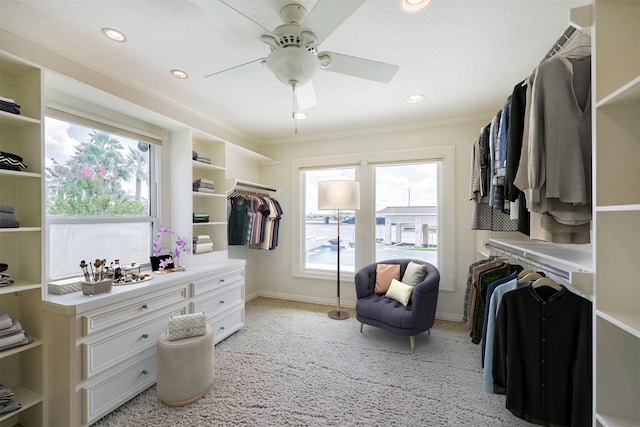 spacious closet featuring ceiling fan and light carpet