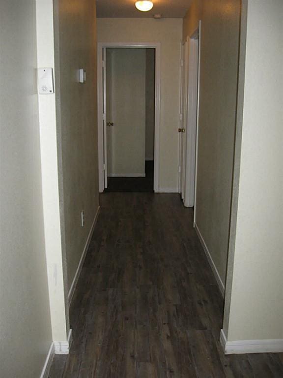 corridor with dark wood-type flooring