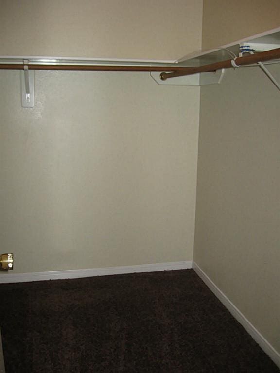 spacious closet with carpet flooring