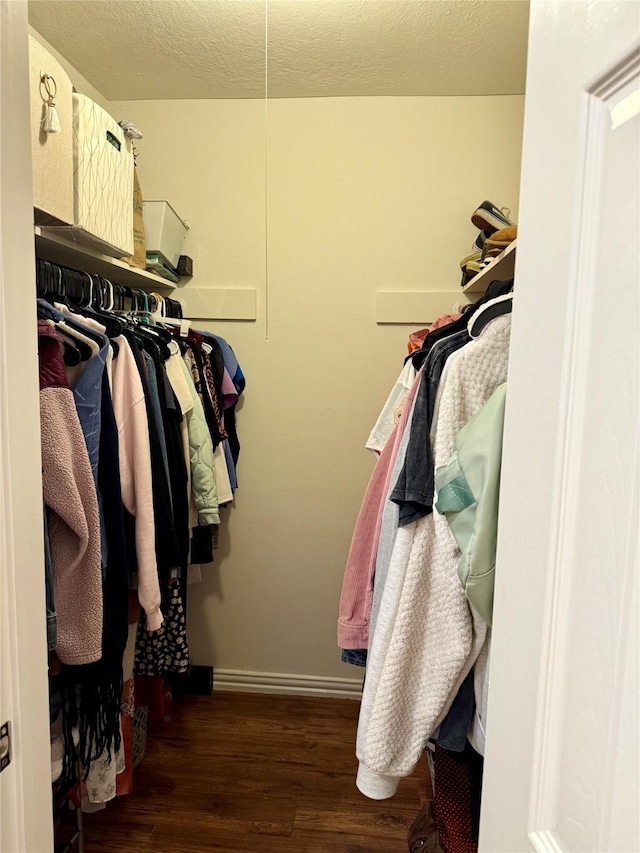 spacious closet featuring dark hardwood / wood-style flooring