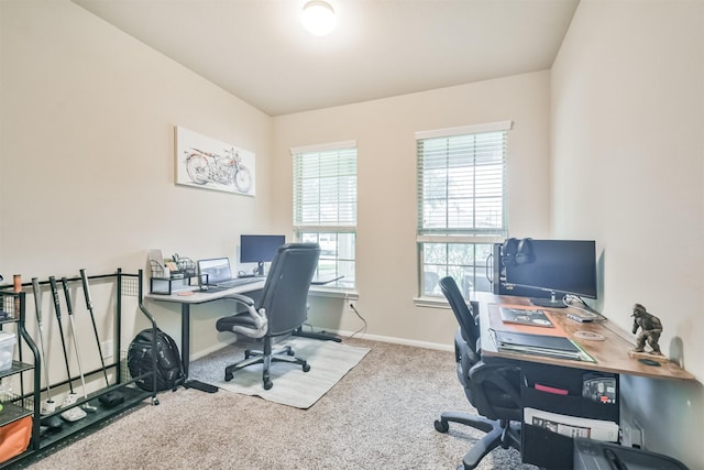 home office featuring carpet flooring