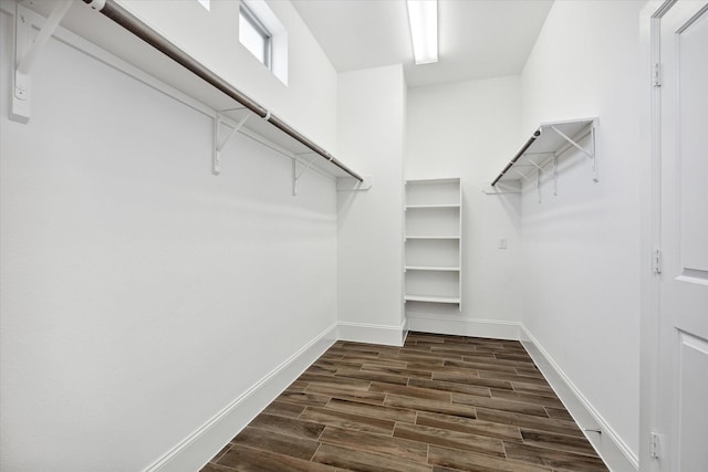 spacious closet featuring dark hardwood / wood-style floors