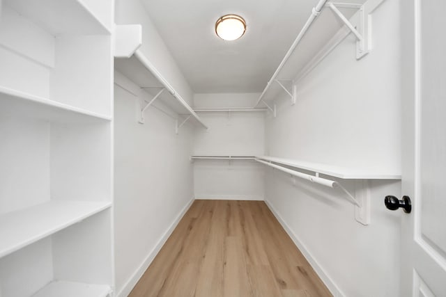 spacious closet featuring hardwood / wood-style flooring