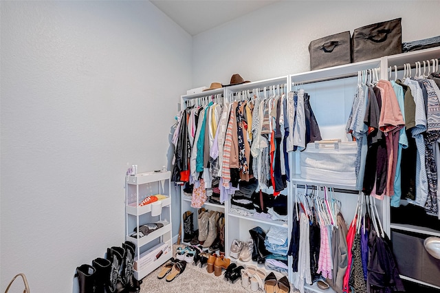 walk in closet featuring carpet floors