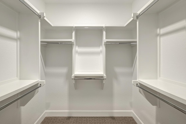 walk in closet with carpet floors