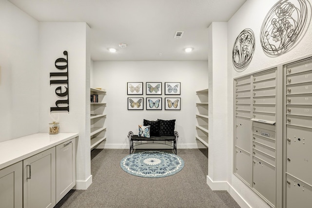 interior space featuring dark colored carpet and mail boxes