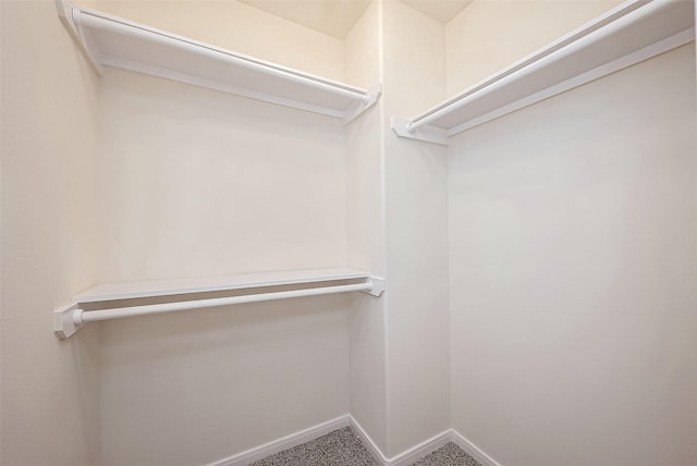 spacious closet with carpet flooring