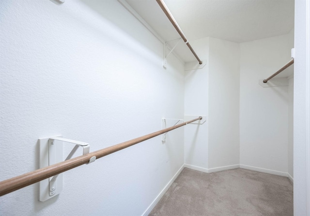 spacious closet with light colored carpet