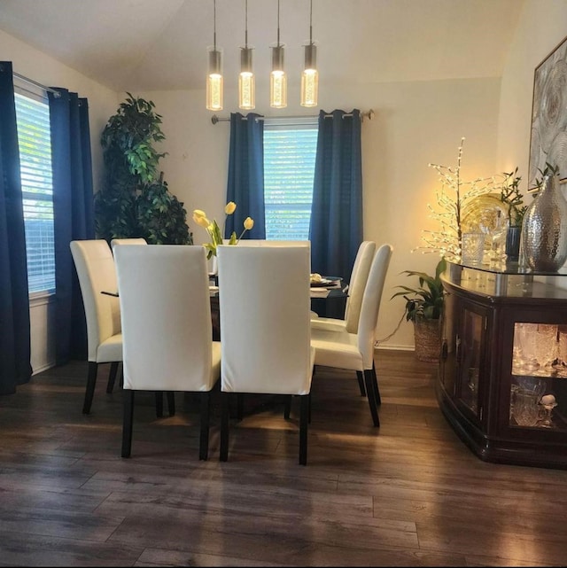 dining room with a wealth of natural light and dark wood-type flooring