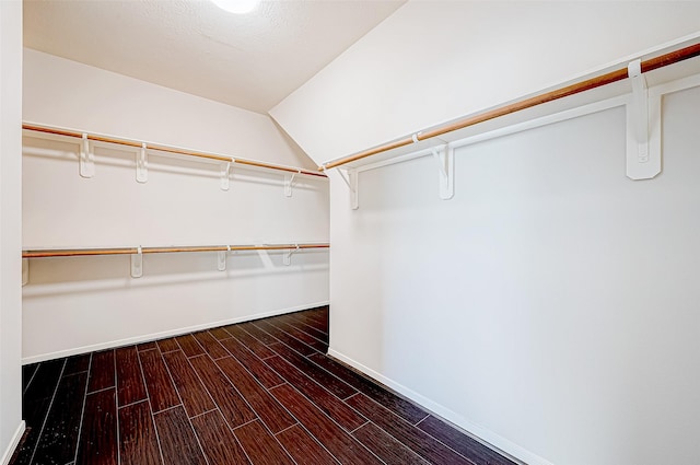 walk in closet featuring vaulted ceiling and dark hardwood / wood-style floors