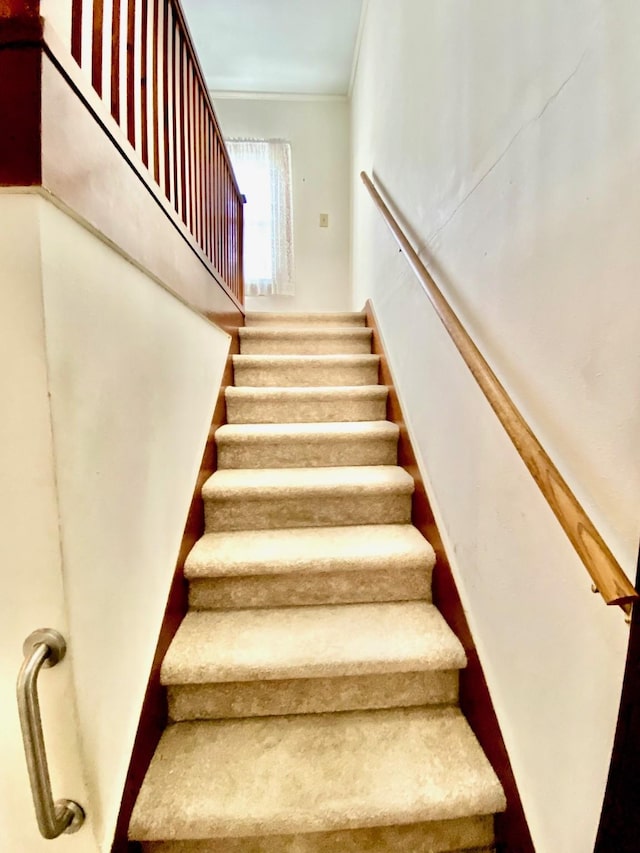 stairs with crown molding