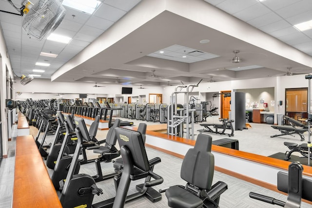 exercise room featuring a paneled ceiling, ceiling fan, and light carpet