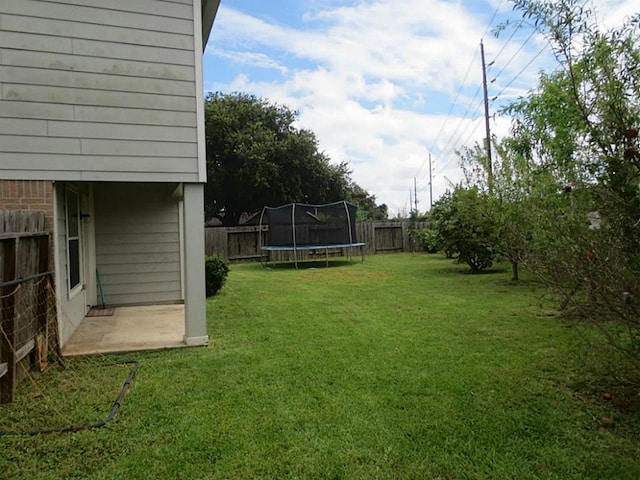 view of yard with a patio area and a trampoline