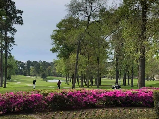 view of property's community with a yard