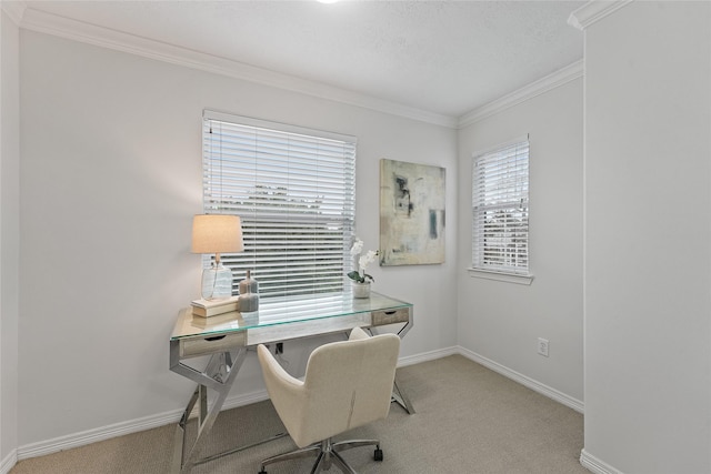 carpeted office with crown molding