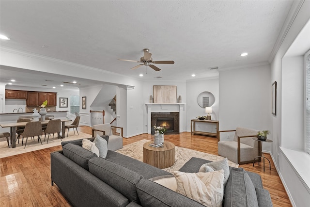 living room with ceiling fan, crown molding, and light hardwood / wood-style flooring