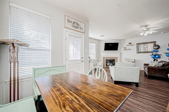 dining space featuring a wealth of natural light, ceiling fan, dark hardwood / wood-style flooring, and a tile fireplace