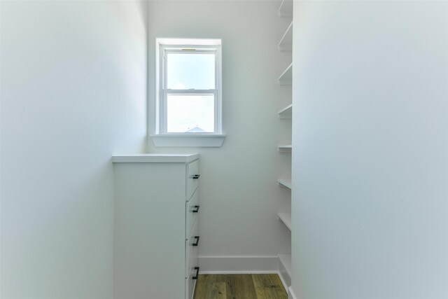 spacious closet featuring wood-type flooring