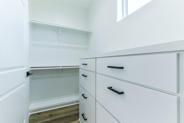 spacious closet featuring dark hardwood / wood-style flooring