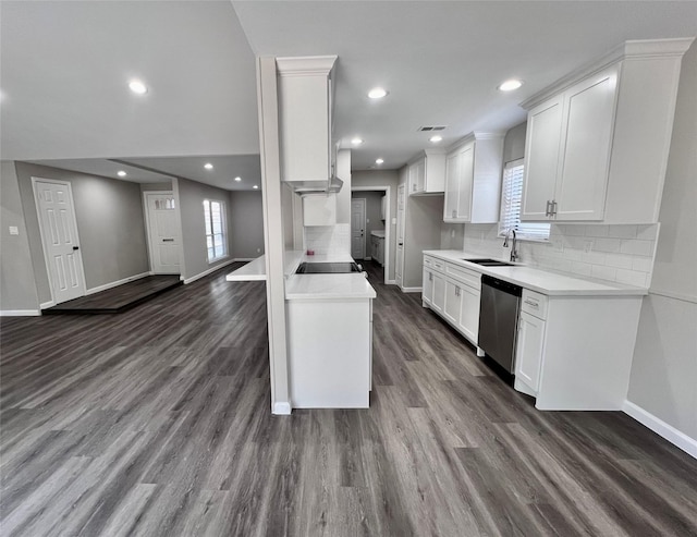 kitchen with white cabinetry, plenty of natural light, stainless steel dishwasher, and sink