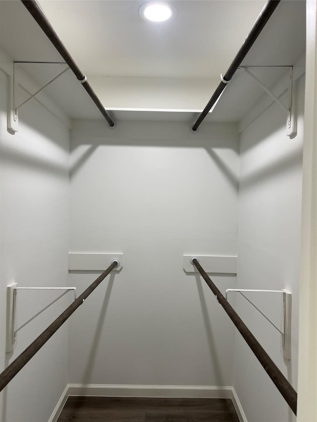 spacious closet featuring dark hardwood / wood-style flooring