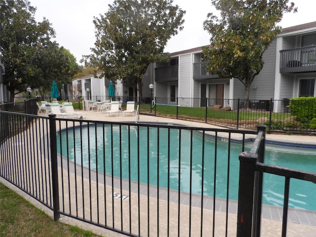 view of swimming pool with a patio