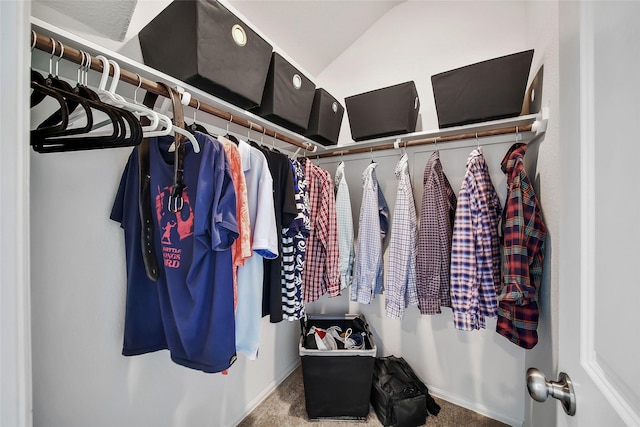 spacious closet with carpet floors and lofted ceiling