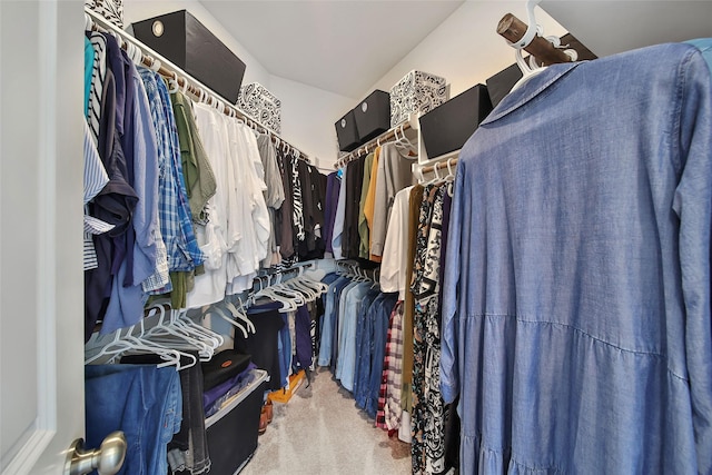 spacious closet featuring carpet