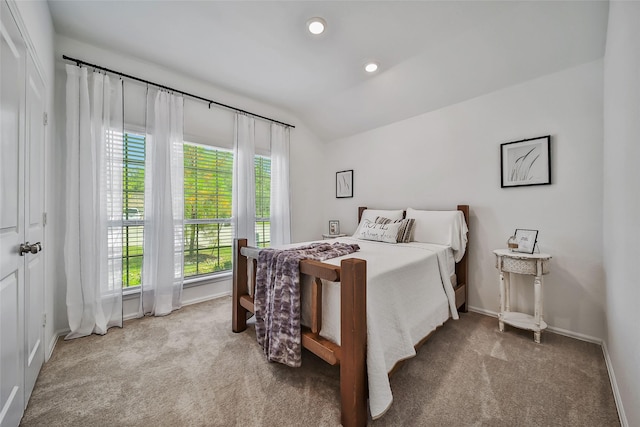 bedroom with lofted ceiling, carpet floors, and multiple windows