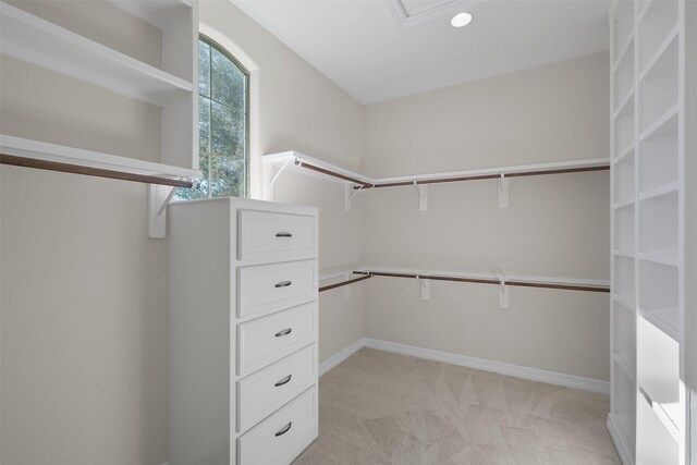 spacious closet with light carpet