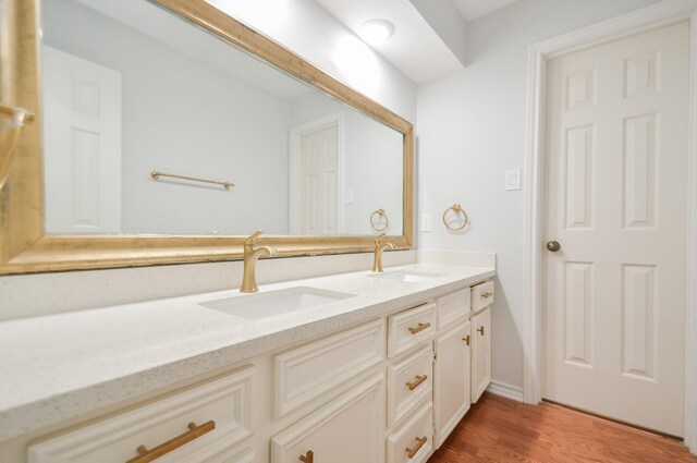 bathroom with wood-type flooring and vanity