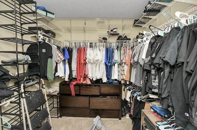 spacious closet featuring carpet floors