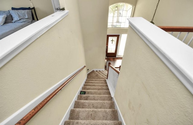 stairs featuring carpet floors