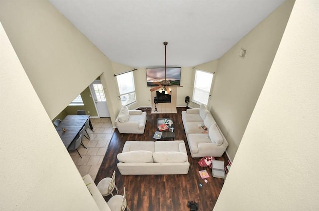 living room with dark hardwood / wood-style floors