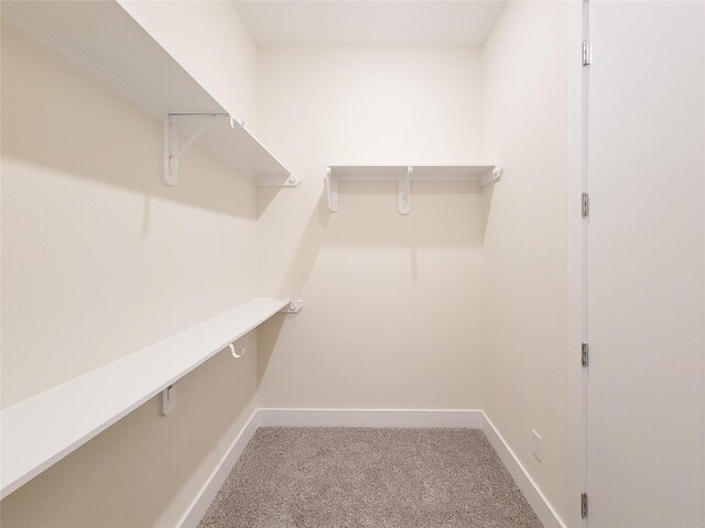 spacious closet with carpet