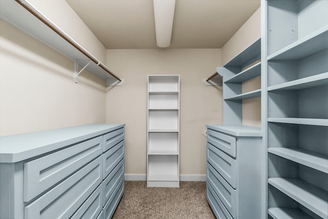 walk in closet featuring light carpet